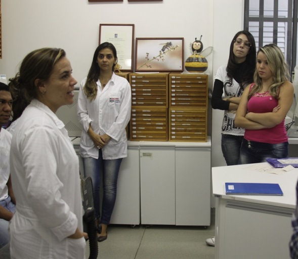 Crédito: Divulgação Funed