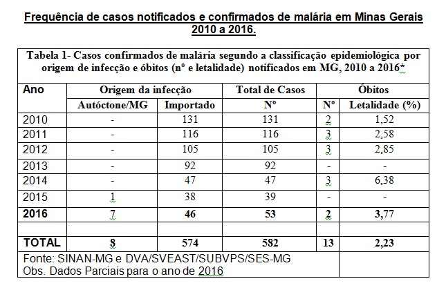 imagem2