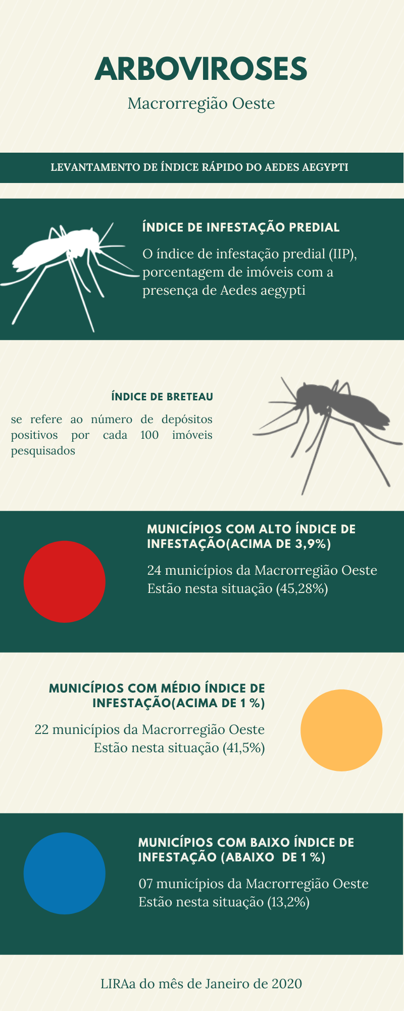 infográfico