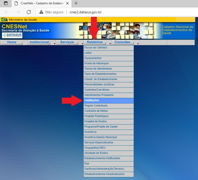 Imagem 4: Tela de pesquisa no antigo site do CNES