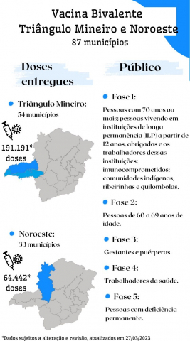 Infográfico - Clara Facchin Fonseca