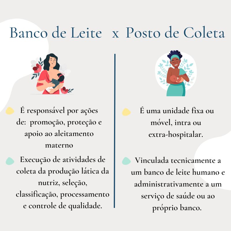 Infográfico / Crédito: Clara Facchin Fonseca