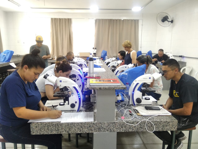 treinamento análise larvária 8