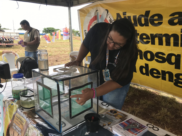 24.02.2024-Uberlândia Dia D 4 - Lilian Cunha